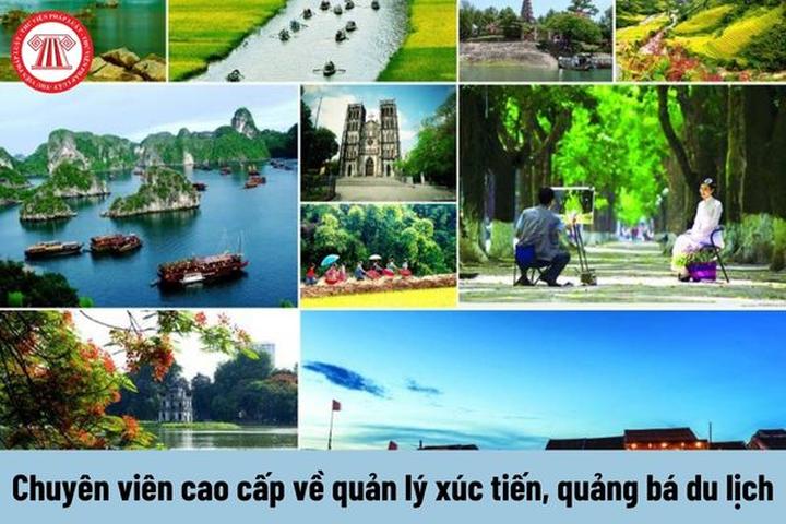 Vì đời người đâu dễ có thêm - Cảm hứng video marketing từ Hotspot Matrix