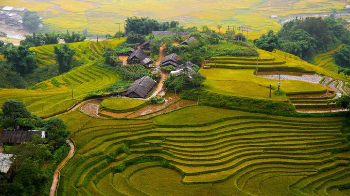 Hotspot Matrix: Biến Người phụ nữ 40 năm hoàn toàn thành cơ hội marketing đột phá