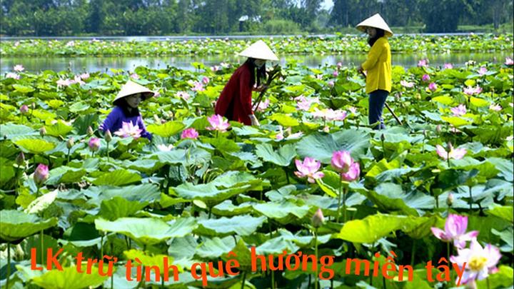 Từ đam mê thiết kế đến triệu view: Chinh phục video ngắn cùng Hotspot Matrix