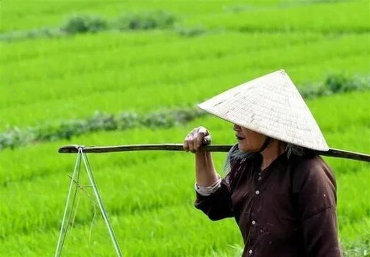 Vàng từ những khoảnh khắc đáng yêu: Kiếm tiền từ thú cưng cùng Hotspot Matrix