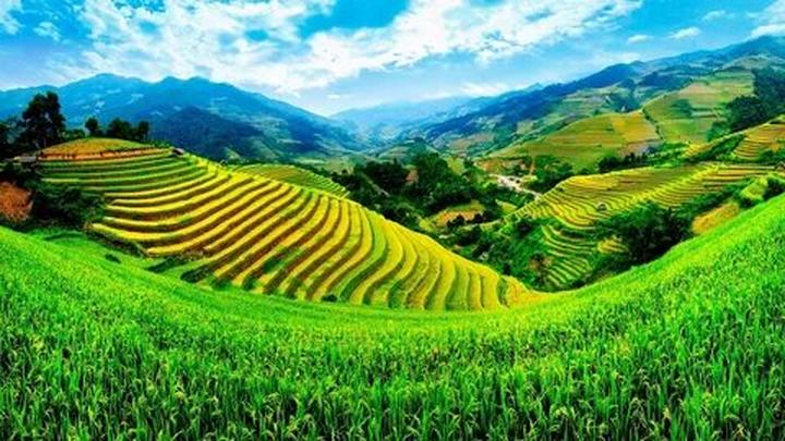 Chuyên gia Hotspot Matrix phân tích: Ông bà dặn:
