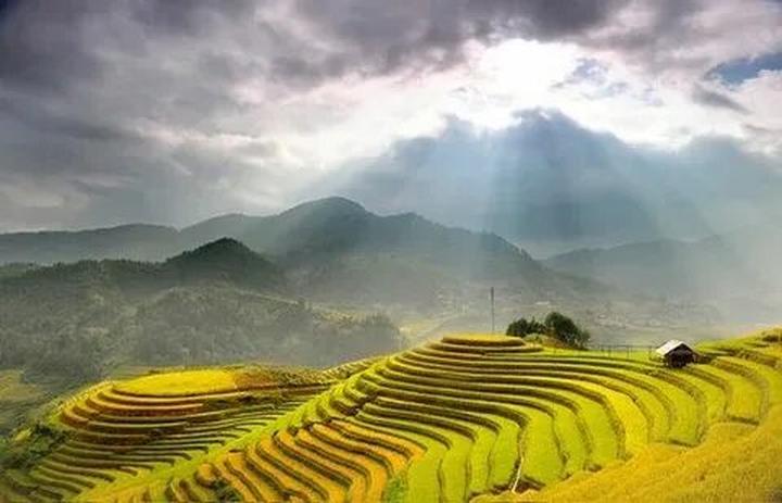 Video ngắn: Cánh đồng lời kể, nông sản sạch